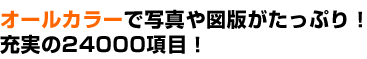 I[J[Ŏʐ^}łՂI[24000ځI
